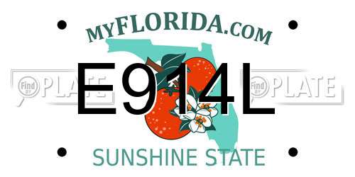 E914L Florida License Plate