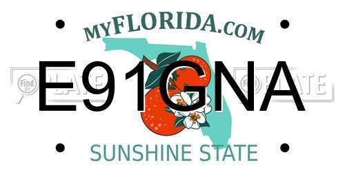 E91GNA Florida License Plate