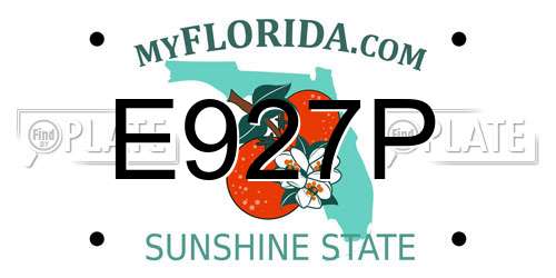 E927P Florida License Plate