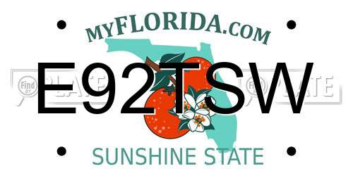 E92TSW Florida License Plate
