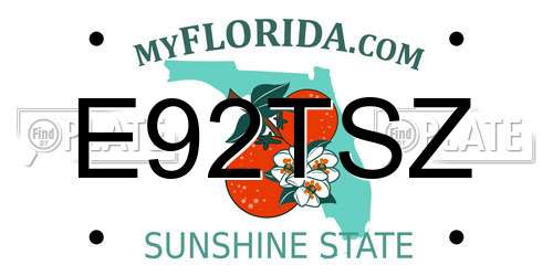 E92TSZ Florida License Plate