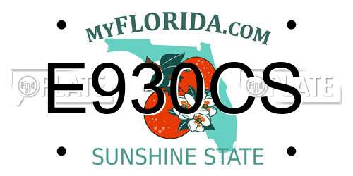 E930CS Florida License Plate