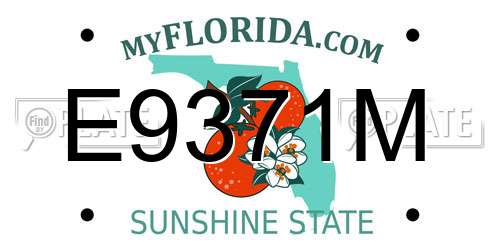 E9371M Florida License Plate