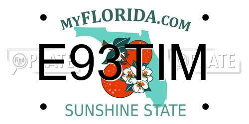 E93TIM Florida License Plate