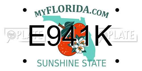 E941K Florida License Plate