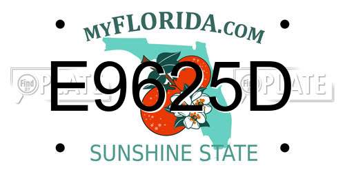 E9625D Florida License Plate