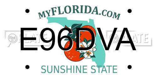 E96DVA Florida License Plate