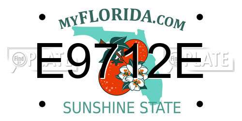 E9712E Florida License Plate
