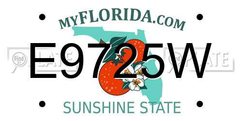 E9725W Florida License Plate