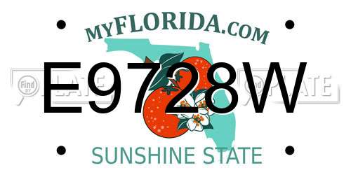 E9728W Florida License Plate