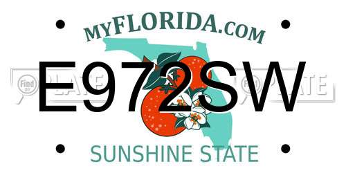 E972SW Florida License Plate