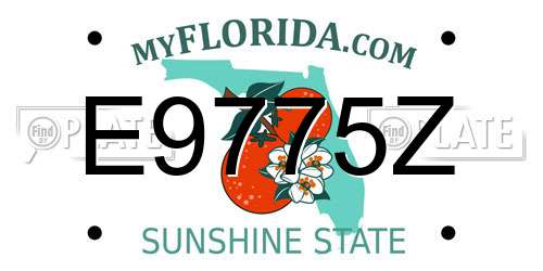 E9775Z Florida License Plate