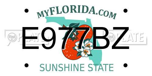 E977BZ Florida License Plate