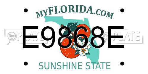 E9868E Florida License Plate