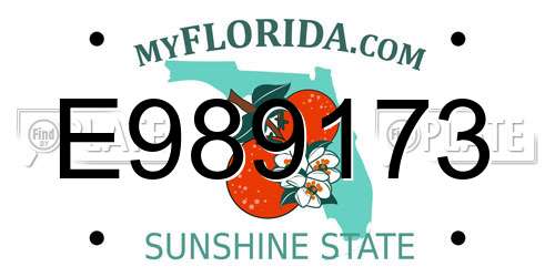 E989173 Florida License Plate