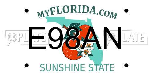 E98AN Florida License Plate