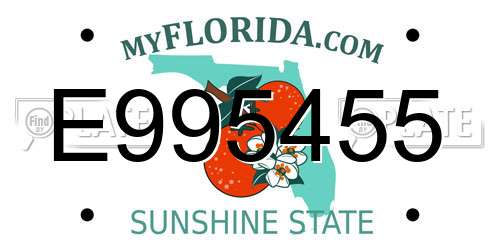 E995455 Florida License Plate