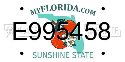 E995458 Florida License Plate