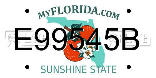 E99545B Florida License Plate