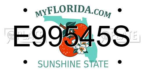 E99545S Florida License Plate