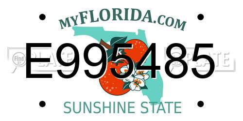 E995485 Florida License Plate