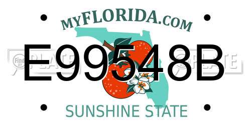 E99548B Florida License Plate