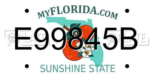 E99845B Florida License Plate