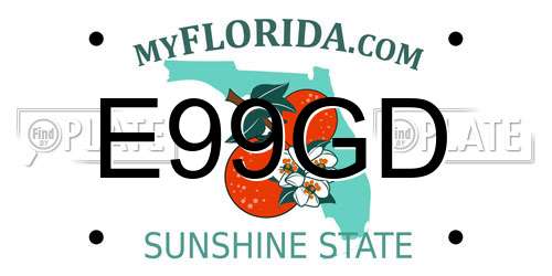 E99GD Florida License Plate
