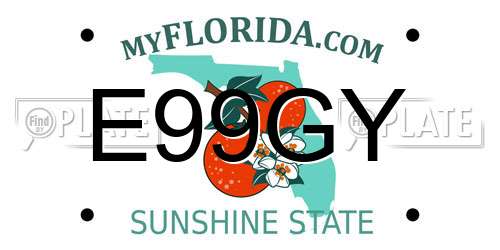 E99GY Florida License Plate