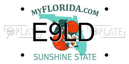 E9LD Florida License Plate