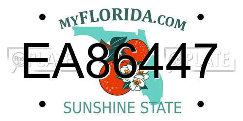 EA86447 Florida License Plate