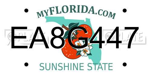 EA8G447 Florida License Plate