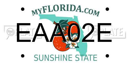 EAA02E Florida License Plate