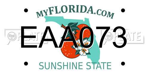 EAA073 Florida License Plate