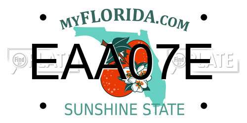 EAA07E Florida License Plate