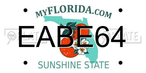 EABE64 Florida License Plate