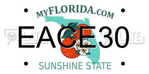 EACE30 Florida License Plate