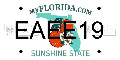 EAEE19 Florida License Plate