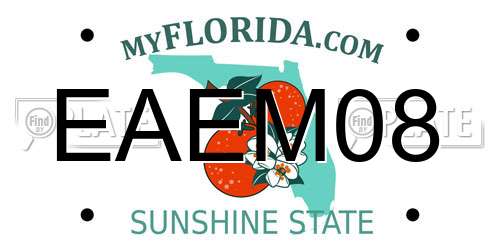 EAEM08 Florida License Plate