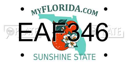 EAF346 Florida License Plate
