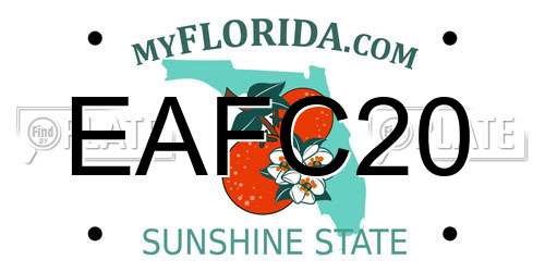 EAFC20 Florida License Plate