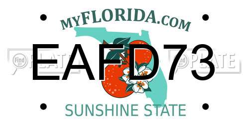 EAFD73 Florida License Plate