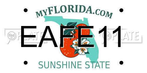 EAFE11 Florida License Plate
