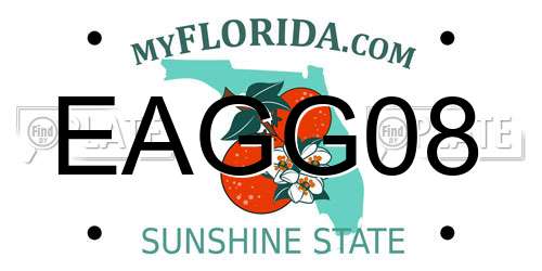 EAGG08 Florida License Plate