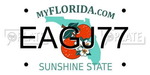 EAGJ77 Florida License Plate