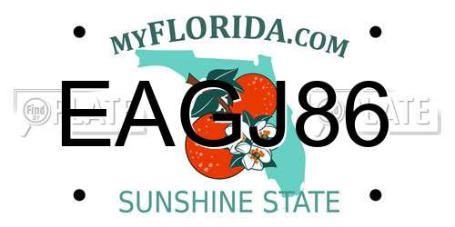 EAGJ86 Florida License Plate