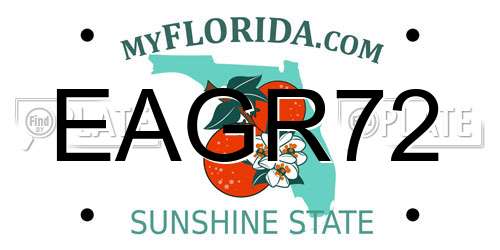 EAGR72 Florida License Plate