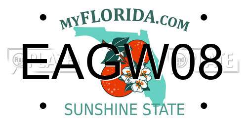 EAGW08 Florida License Plate