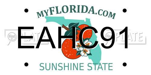 EAHC91 Florida License Plate