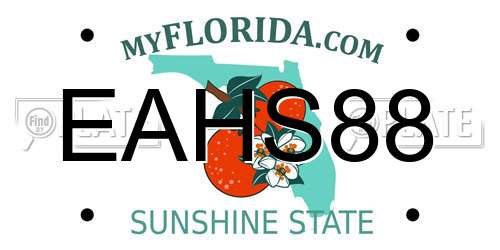 EAHS88 Florida License Plate